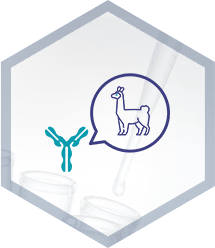 monoclonaux recombinants